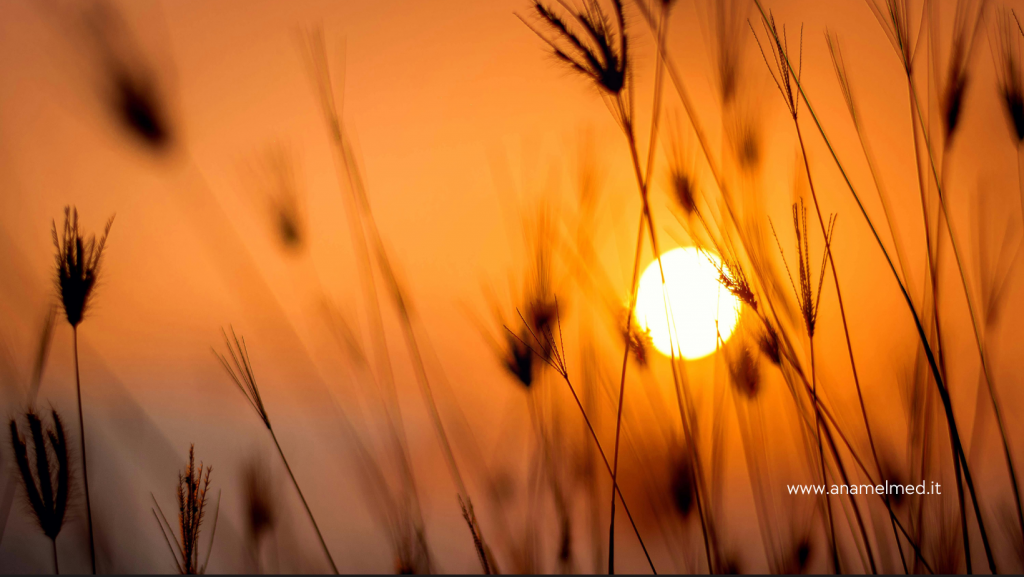 Come proteggersi dal caldo: dal 23 Giugno è attivo il numero di telefono gratuito 1500 per ricevere informazioni